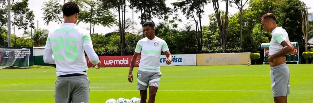 imagem da materia: Luis Guilherme e Vanderlan retornam ao treino do Verdão