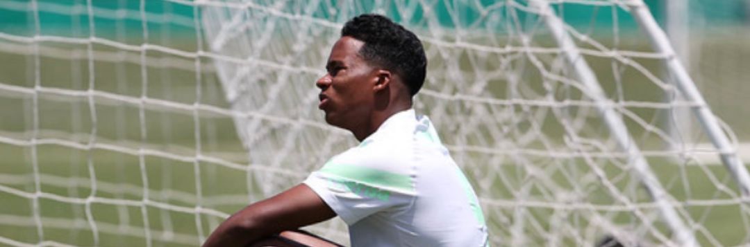 imagem da materia: Palmeiras iniciou os treinos para enfrentar o Cruzeiro