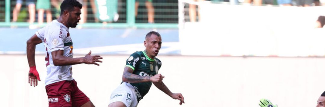imagem da materia: Palmeiras bate Fluminense e está a um passo de ser campeão