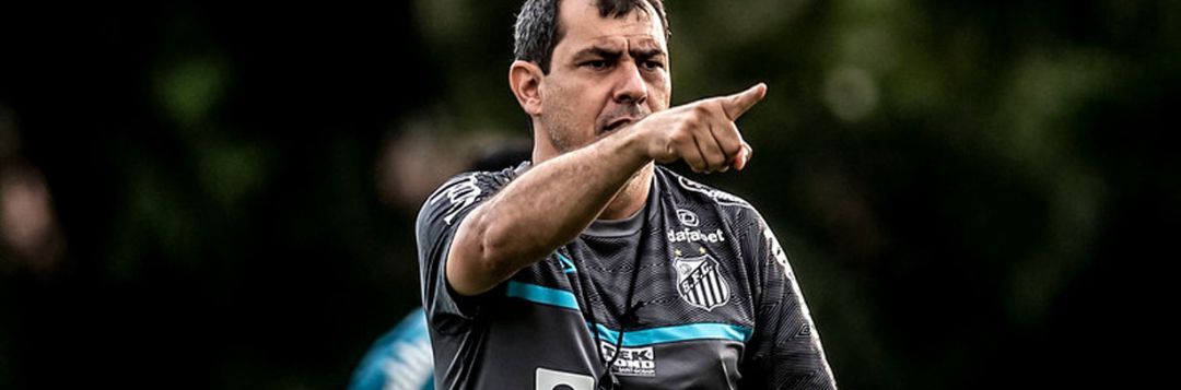 imagem da materia: Fábio Carille também recusa proposta do Santos