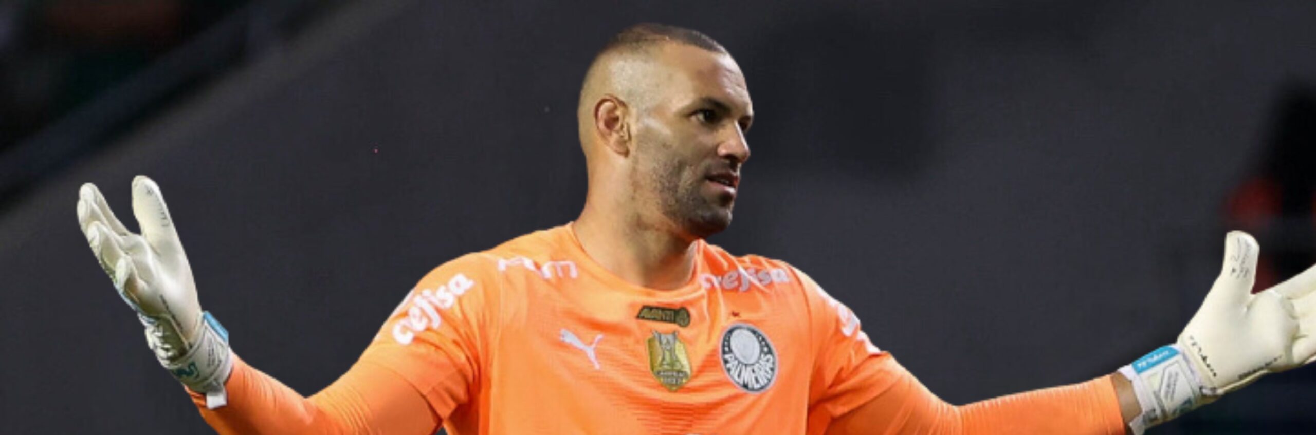 imagem da materia: Weverton próximo de renovar com o Palmeiras por mais três anos
