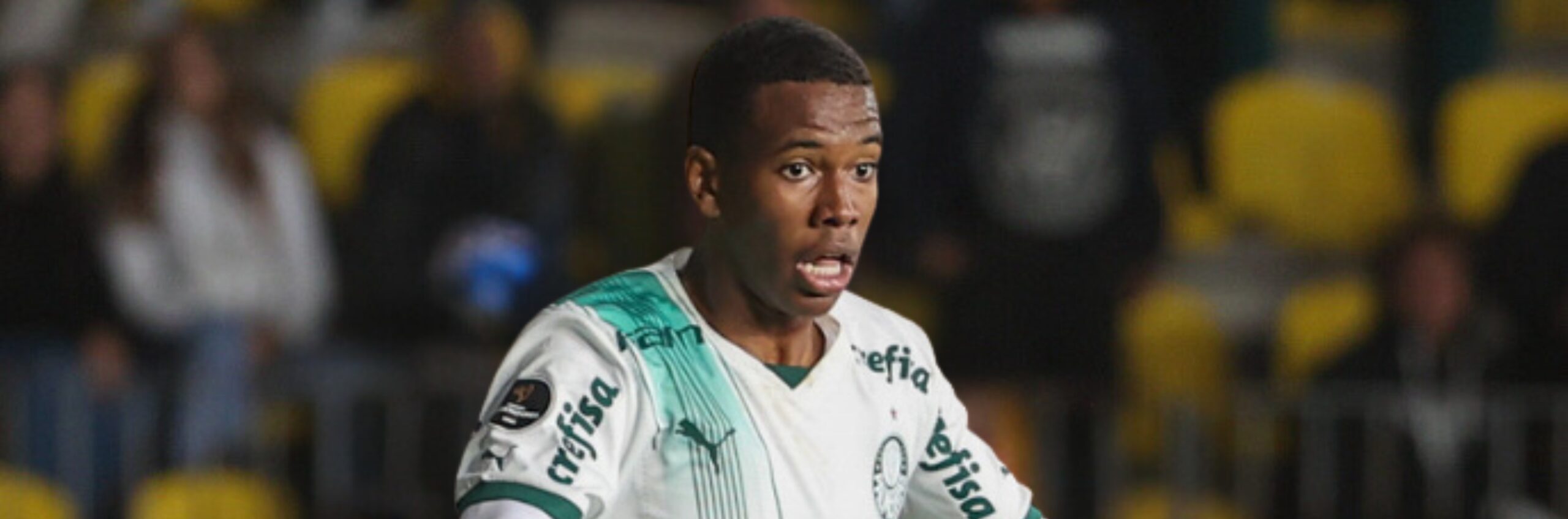 imagem da materia: Estêvão pode ser um ‘reforço caseiro’ para o Palmeiras