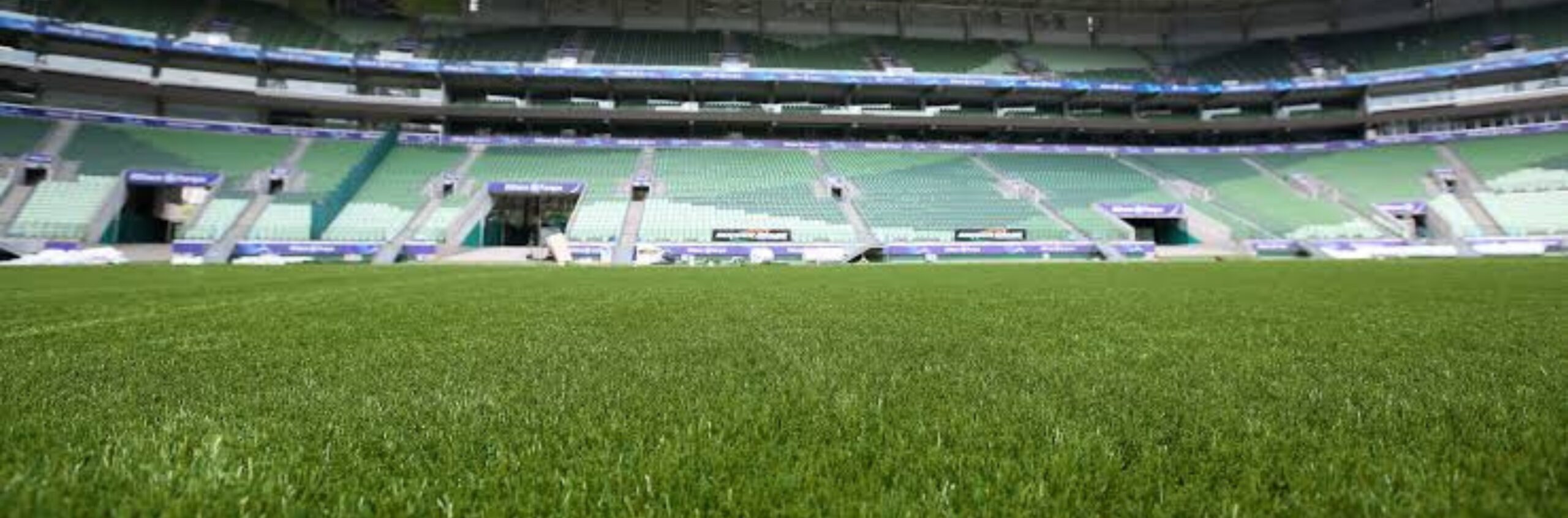 imagem da materia: WTorre solicita substituição do gramado do Allianz Parque