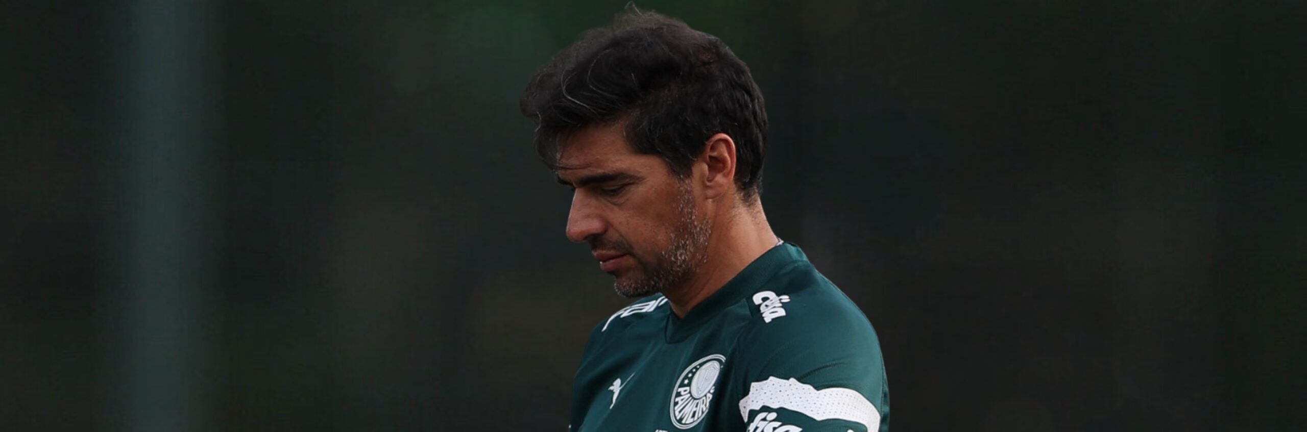 imagem da materia: Palmeiras pode ter mudanças na escalação para enfrentar a Lusa
