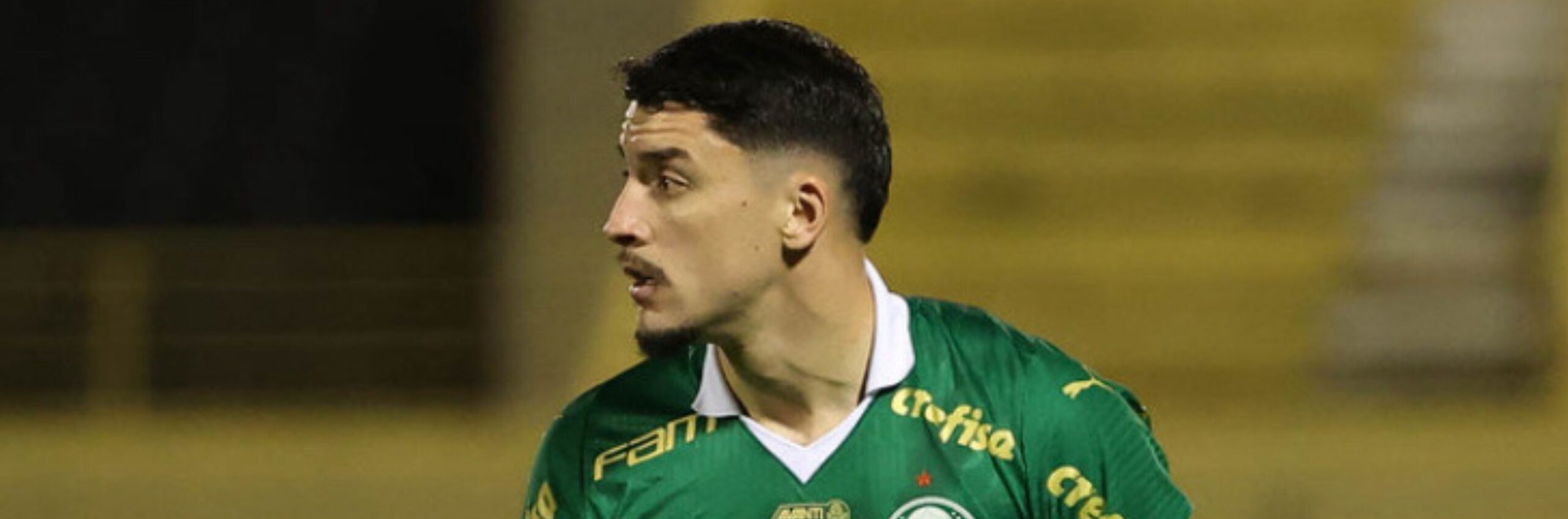 imagem da materia: Piquerez analisa desempenho do Verdão no Paulista