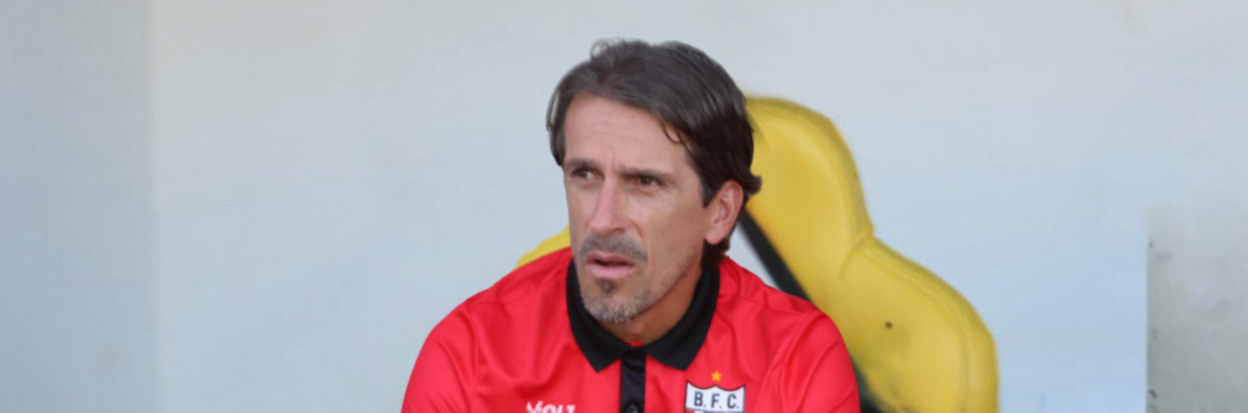 imagem da materia: Botafogo faz contas e ainda sonha com classificação no Paulistão