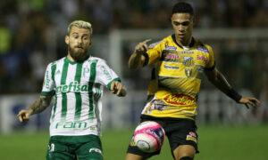 Cesar Greco/Palmeiras