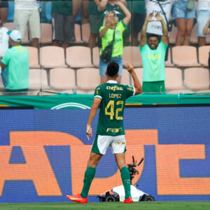 Artilheiro aproveita boa fase para se provar no Palmeiras em 2024