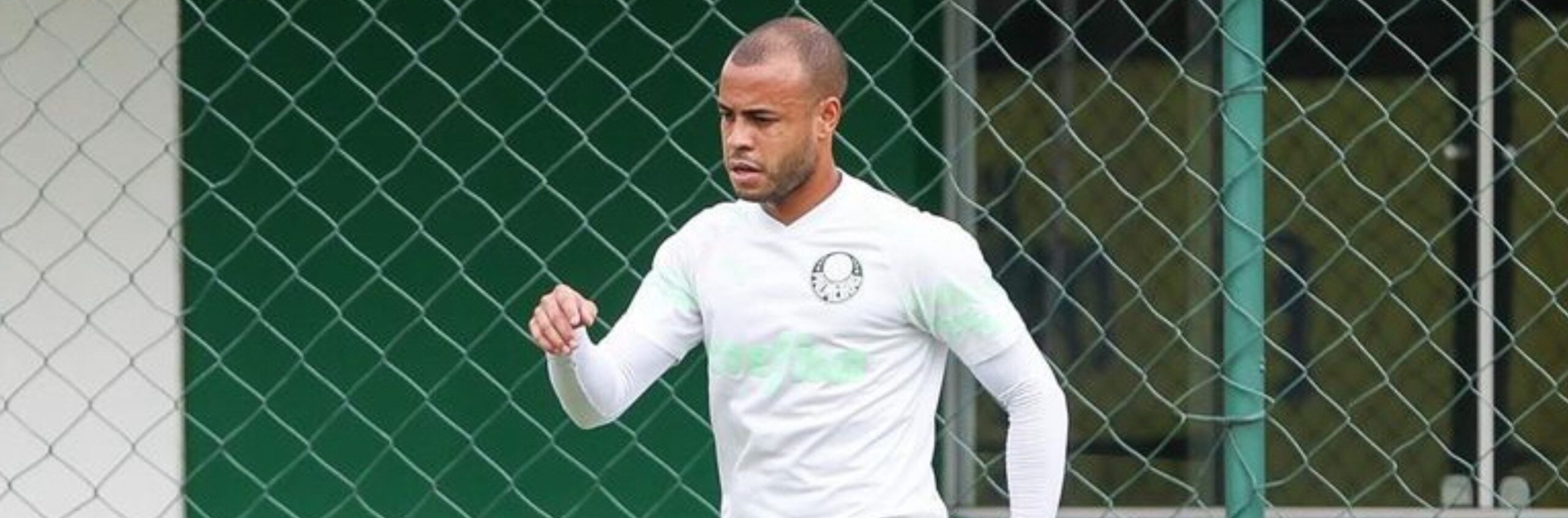 imagem da materia: Palmeiras se prepara para a última rodada do campeonato paulista