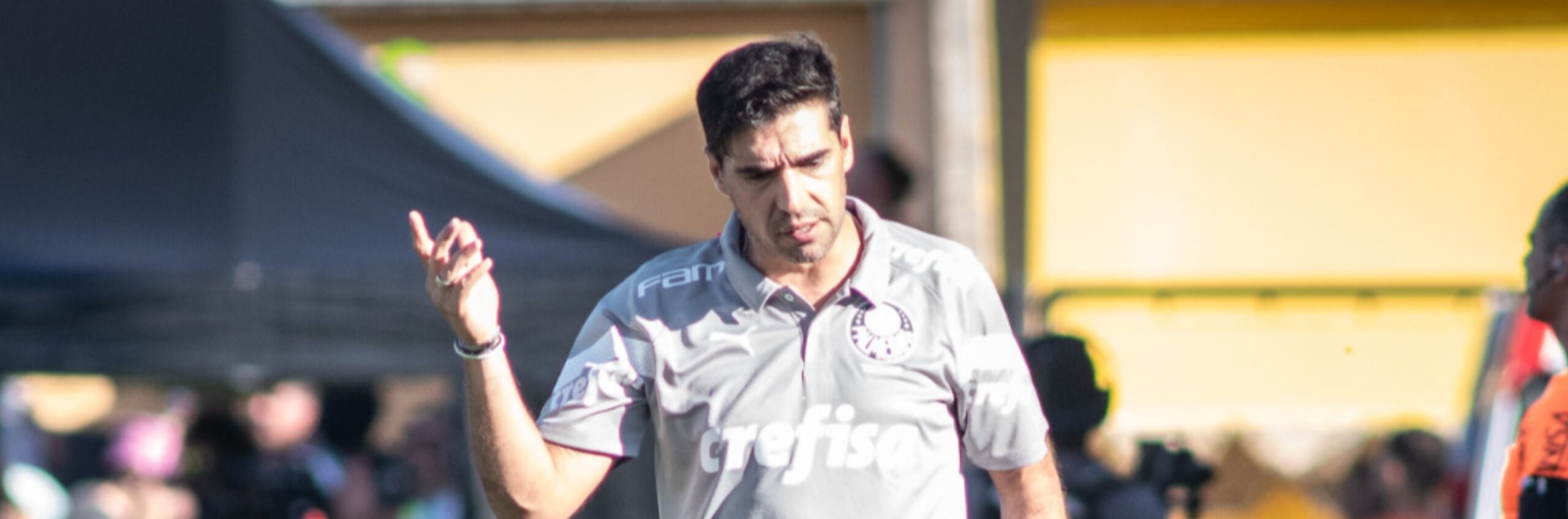 imagem da materia: Palmeiras tem histórico favorável contra o Novorizontino em mata-matas