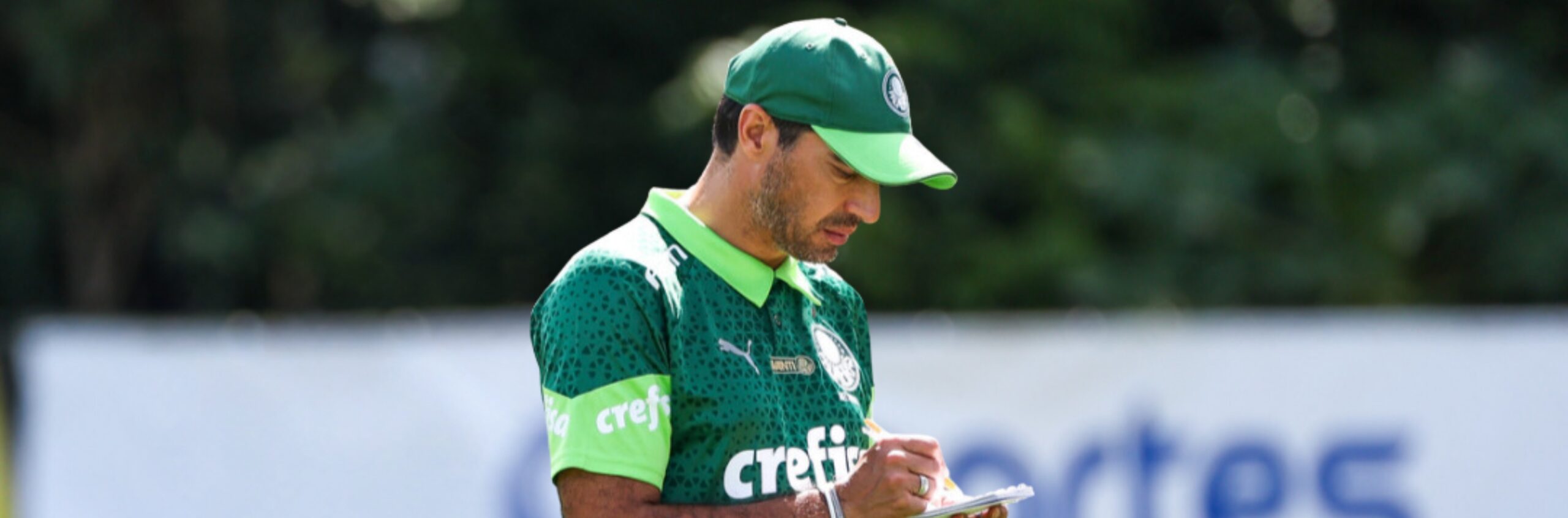 imagem da materia: Verdão poupa titulares na Libertadores visando final do Paulistão