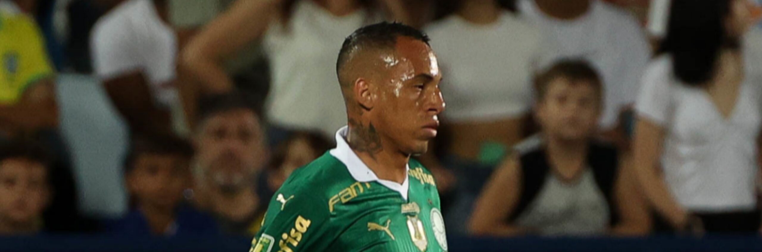 imagem da materia: Breno Lopes decide permanecer no Palmeiras