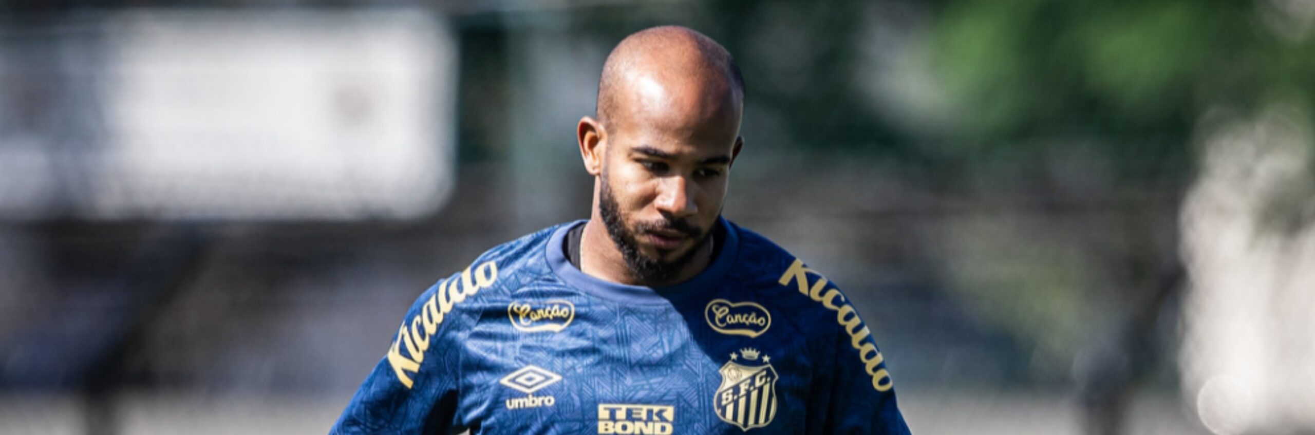 imagem da materia: Santos se prepara para enfrentar o Avaí com reforços e desfalques