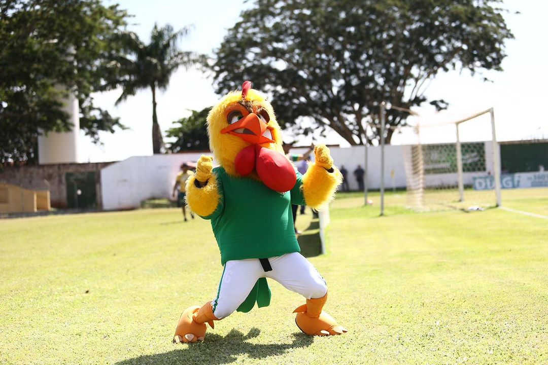 imagem da materia: XV de Jaú quer retornar ao Paulista A3 depois de 12 anos