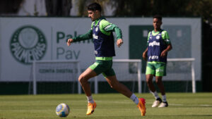 Foto: Cesar Greco/Palmeiras