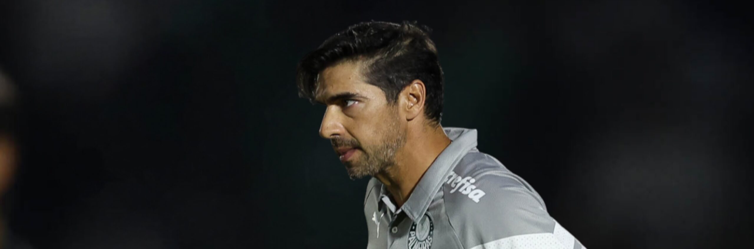 imagem da materia: Palmeiras busca soluções para marcar mais gols