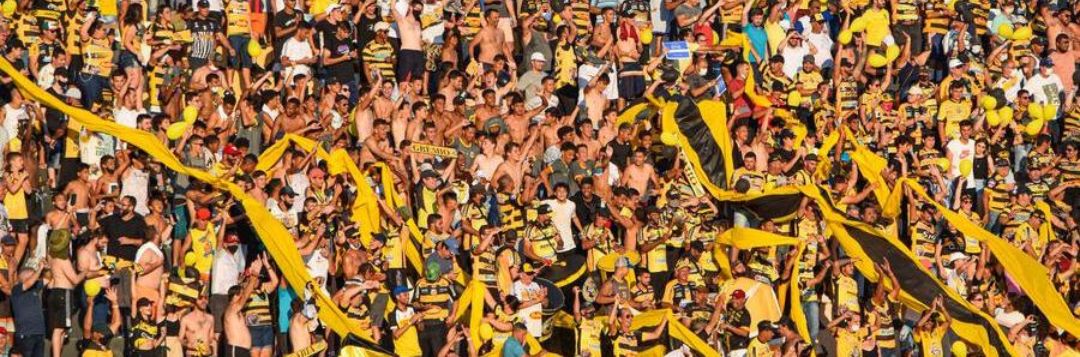 imagem da materia: Novorizontino abre venda de ingressos para jogo contra Ceará