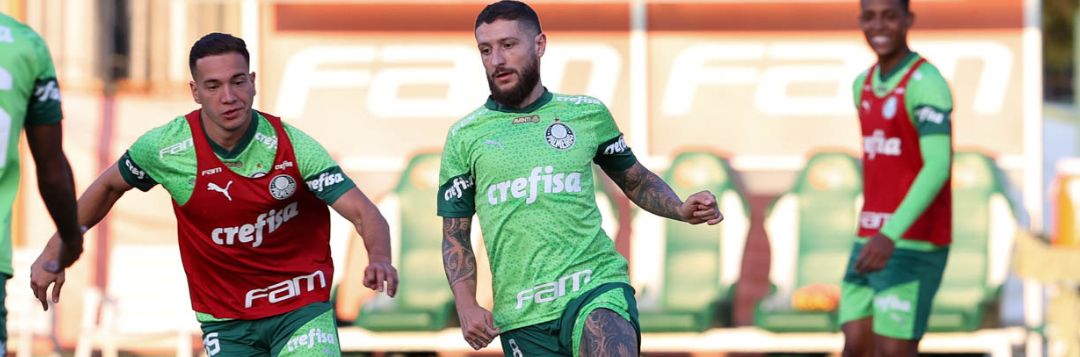 imagem da materia: Palmeiras deve poupar os titulares contra o Botafogo-SP