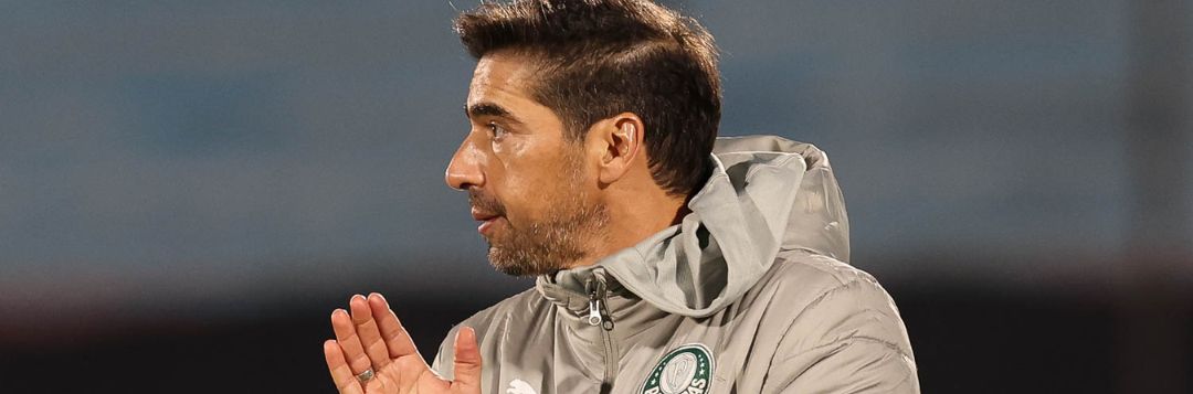 imagem da materia: “Minha seleção é o Palmeiras