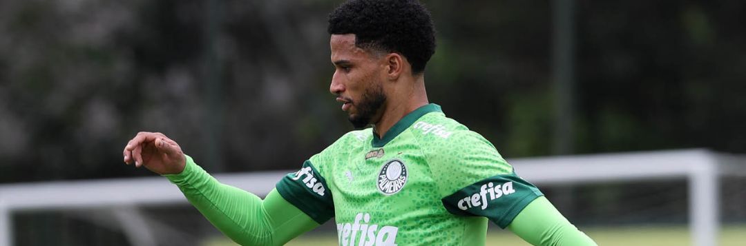 imagem da materia: Palmeiras segue sua preparação para enfrentar o Botafogo-SP