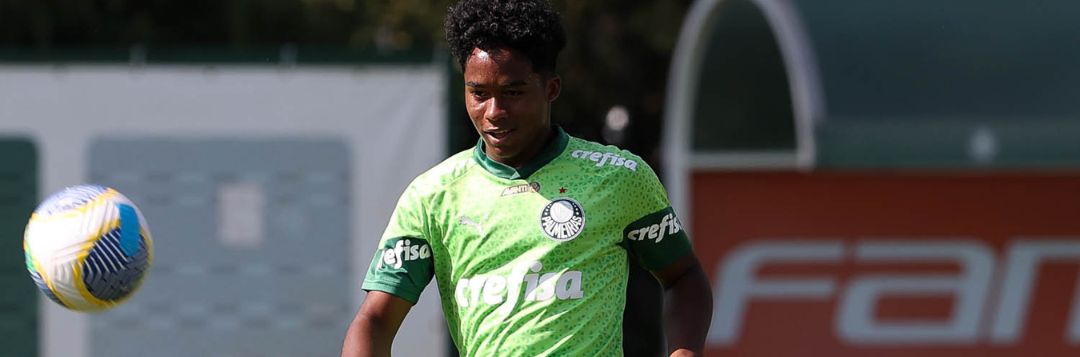 imagem da materia: Palmeiras encerra sua preparação para encarar o Botafogo-SP