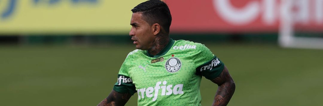 imagem da materia: Palmeiras realiza jogo-treino contra o São Caetano