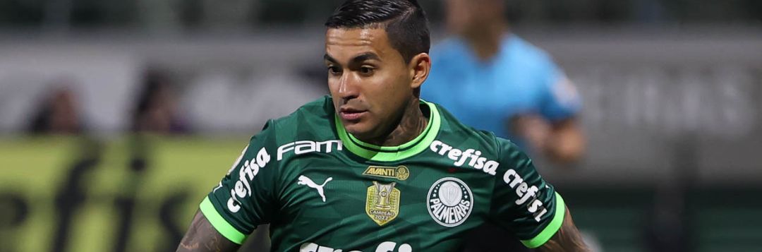 imagem da materia: Sem Dudu ainda, Verdão está escalado para a Libertadores
