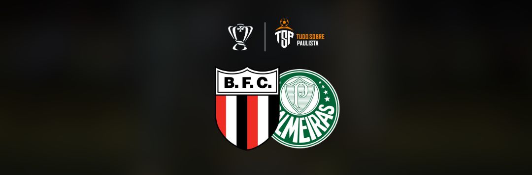 imagem da materia: Botafogo x Palmeiras: onde assistir, escalações e palpites