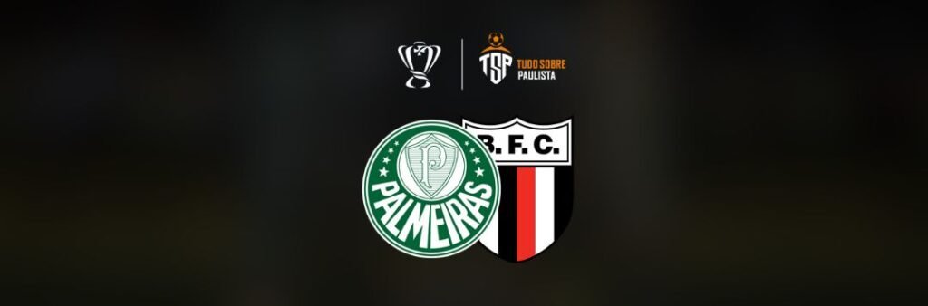 Palmeiras x Botafogo: onde assistir, escalações e palpites