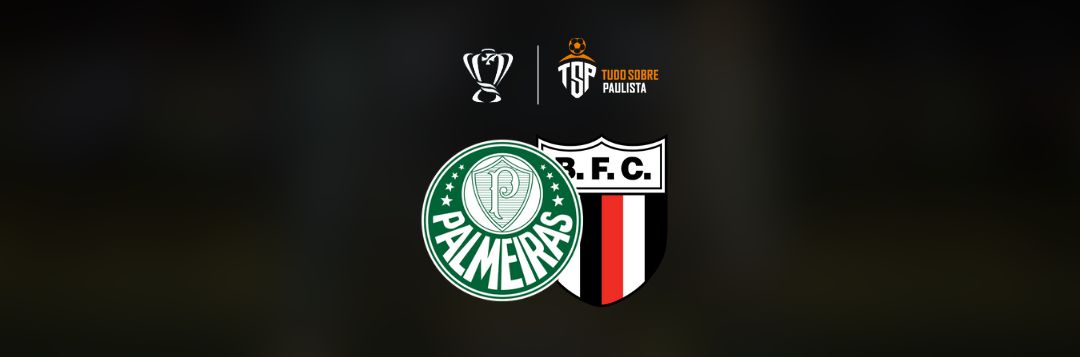 imagem da materia: Palmeiras x Botafogo: onde assistir, escalações e palpites