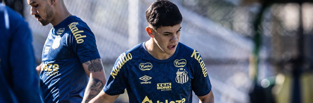 imagem da materia: Santos se reapresenta após vitória contra Chapecoense
