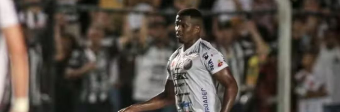 imagem da materia: Guarani acerta com mais dois jogadores para Série B