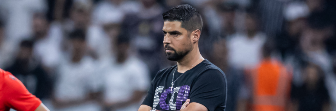 imagem da materia: Palmeiras pode