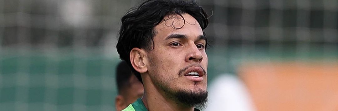 imagem da materia: Gustavo Gómez fala sobre a marca de 300 jogos pelo Palmeiras