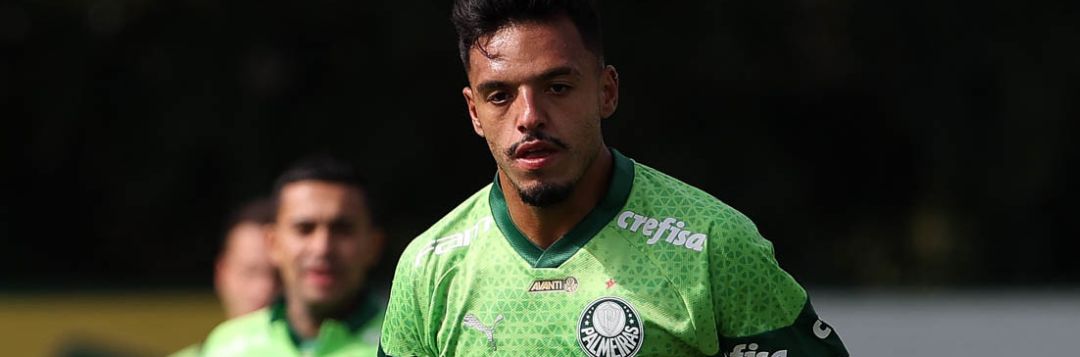 imagem da materia: Palmeiras encerra sua preparação para encarar o Botafogo