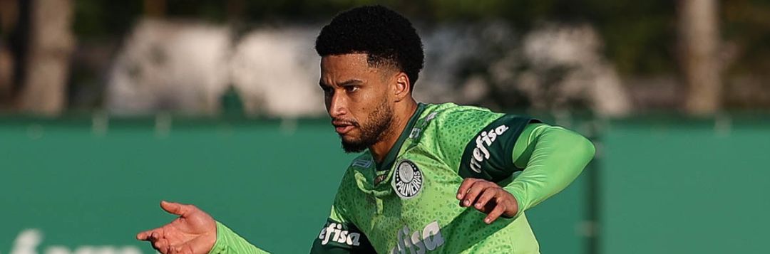 imagem da materia: Palmeiras segue sua preparação para encarar o Cruzeiro