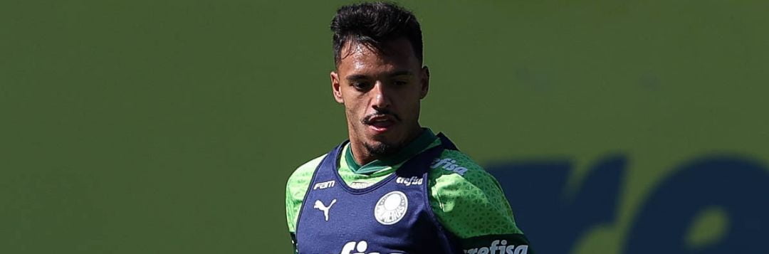 imagem da materia: Palmeiras iniciou sua preparação para encarar o Fluminense