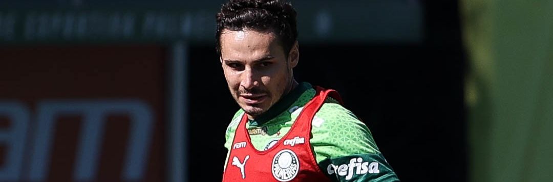 imagem da materia: Palmeiras finaliza sua preparação para encarar o Fluminense
