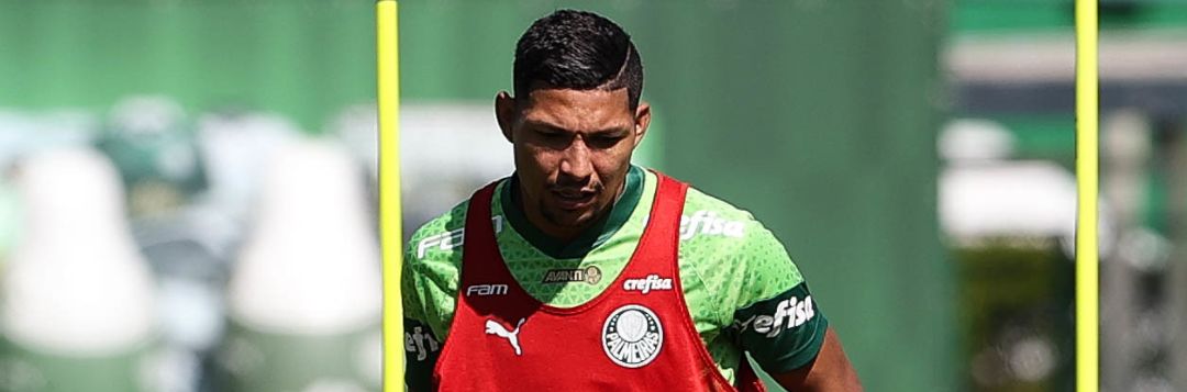 imagem da materia: Palmeiras se reapresenta após derrota para o Fluminense