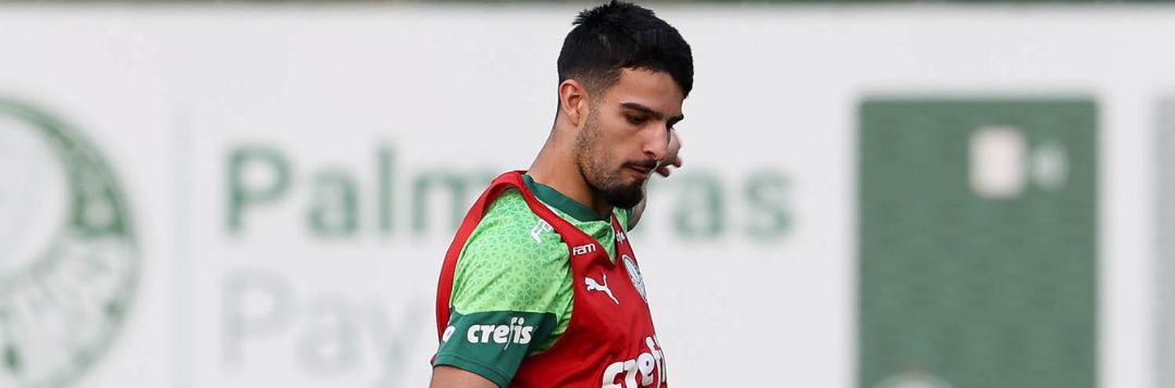 imagem da materia: Palmeiras pode poupar contra o Vitória