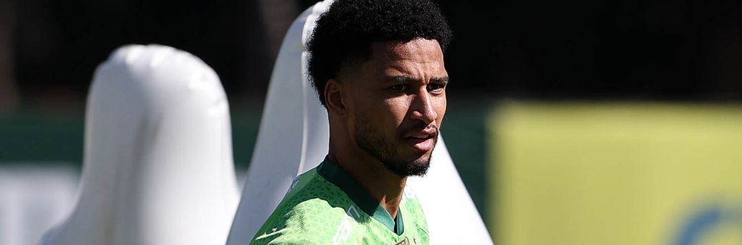 imagem da materia: Palmeiras pode ter novidades contra o Internacional