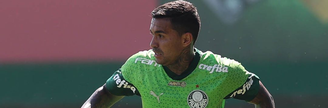 imagem da materia: Abel fala sobre recuperação de Dudu