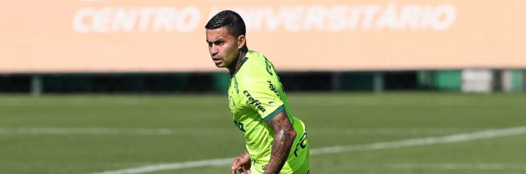 imagem da materia: Abel fala sobre tempo de recuperação e lesão de Dudu