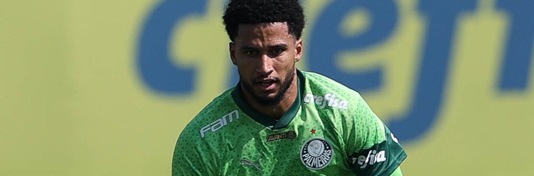 imagem da materia: Palmeiras inicia preparação para a Libertadores