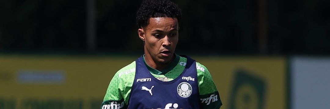 imagem da materia: Palmeiras se reapresenta após eliminação da Libertadores