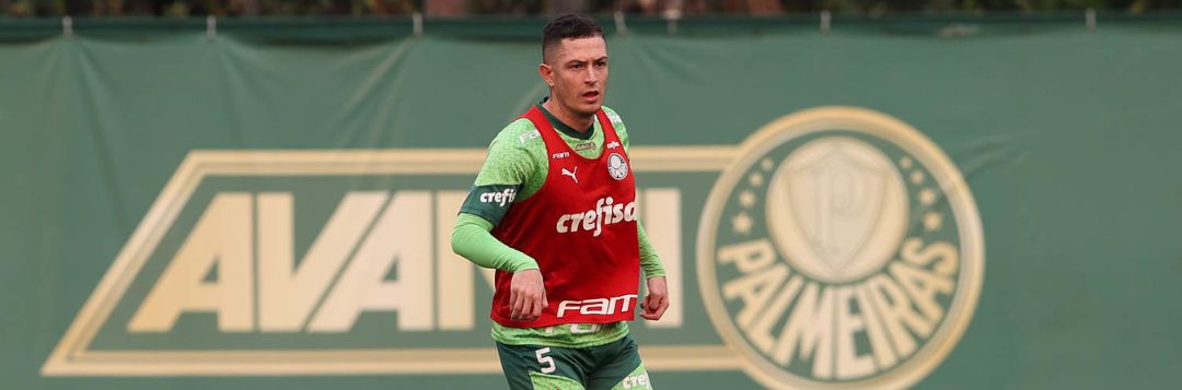 imagem da materia: Por conta de suspensões, Verdão deve ter novidades no sábado