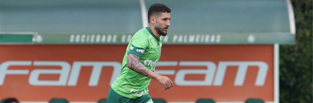 imagem da materia: Palmeiras consegue efeito suspensivo para Zé Rafael