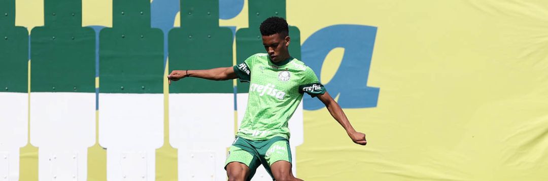 imagem da materia: Estêvão se reapresenta e faz trabalho regenerativo