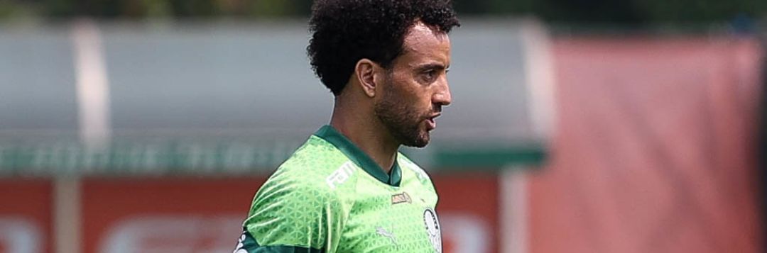 imagem da materia: Palmeiras finaliza preparação para o retorno do Brasileirão