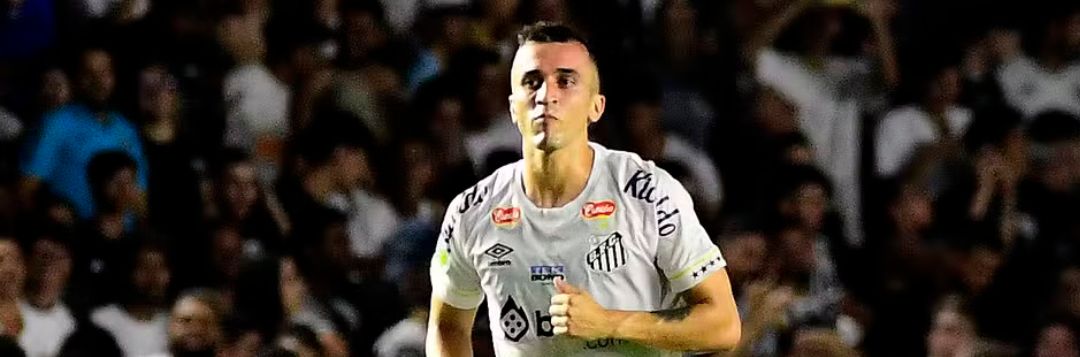 imagem da materia: Santos tem mais de meio time suspenso
